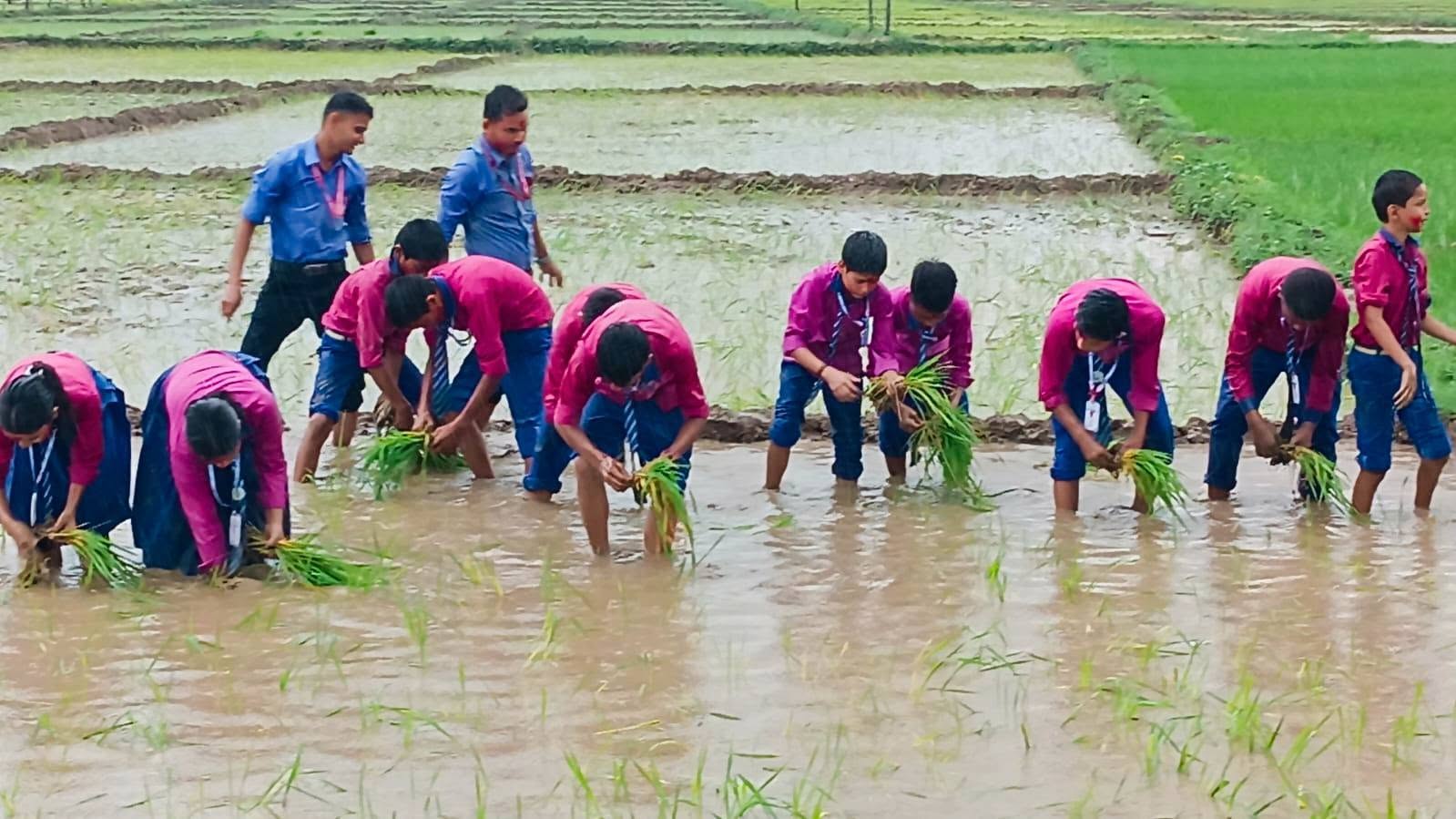 Hands-on Learning